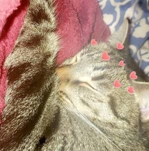 Meet your Posher, Doris